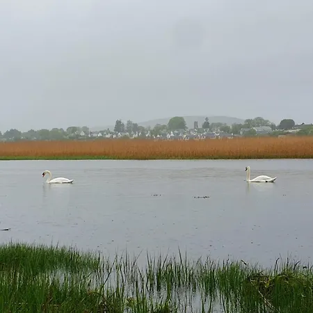 Vakantiehuis Brand New 2 Bedroom Overlooking Bay Estuary Kenmare