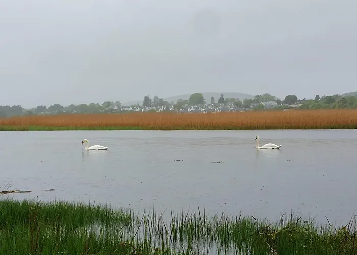 Dom wakacyjny Brand New 2 Bedroom Overlooking Bay Estuary Kenmare