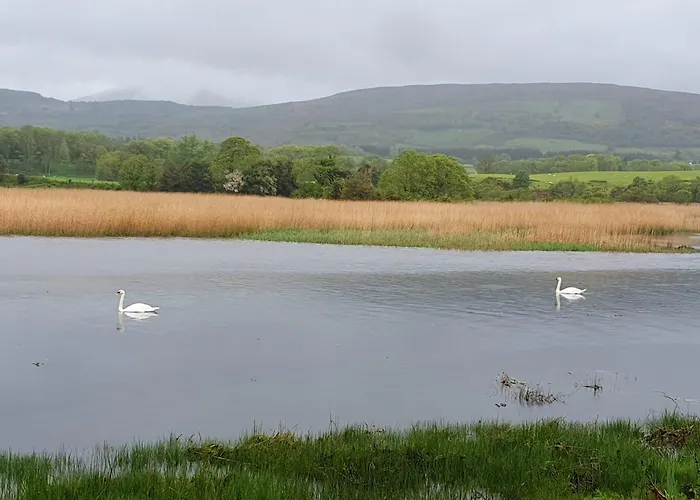 Brand New 2 Bedroom Overlooking Bay Estuary 펜션 켄마어